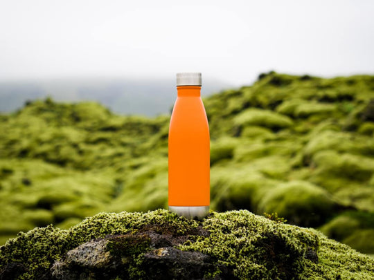 Reusable Water Bottles: Glass & Stainless Steel Take Over From Plastic - Everly
